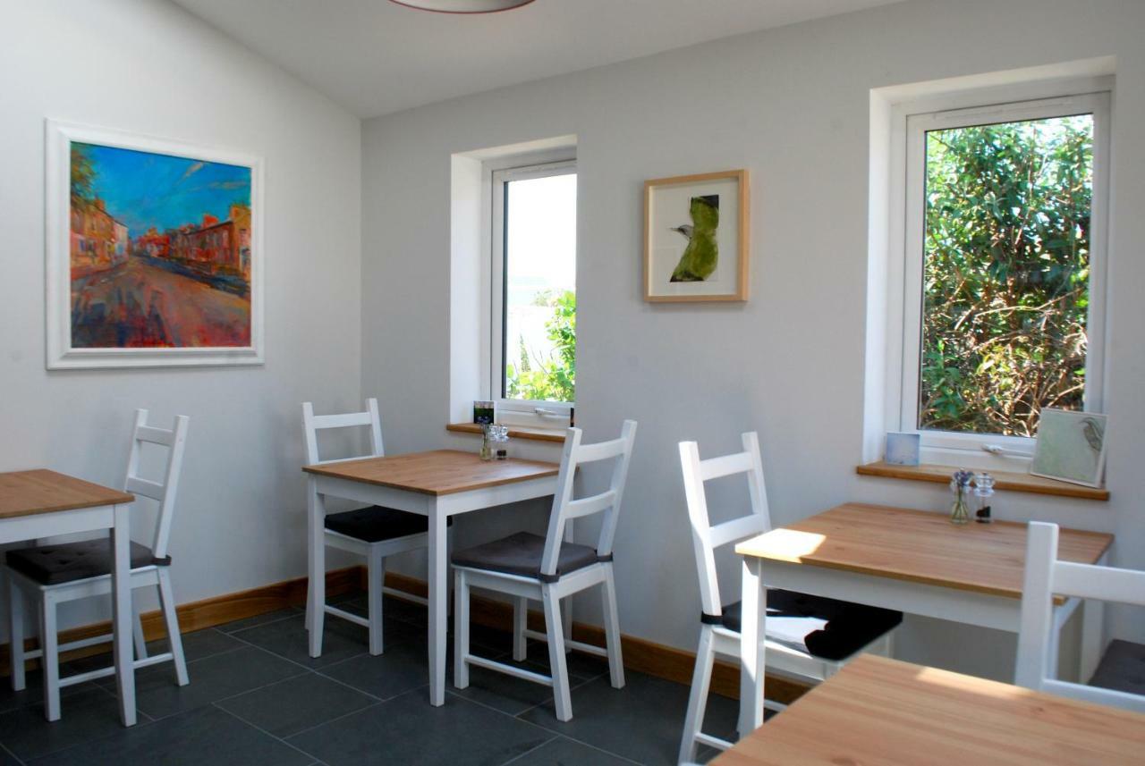 Ty Boia Bed & Breakfast 세인트데이비즈 외부 사진